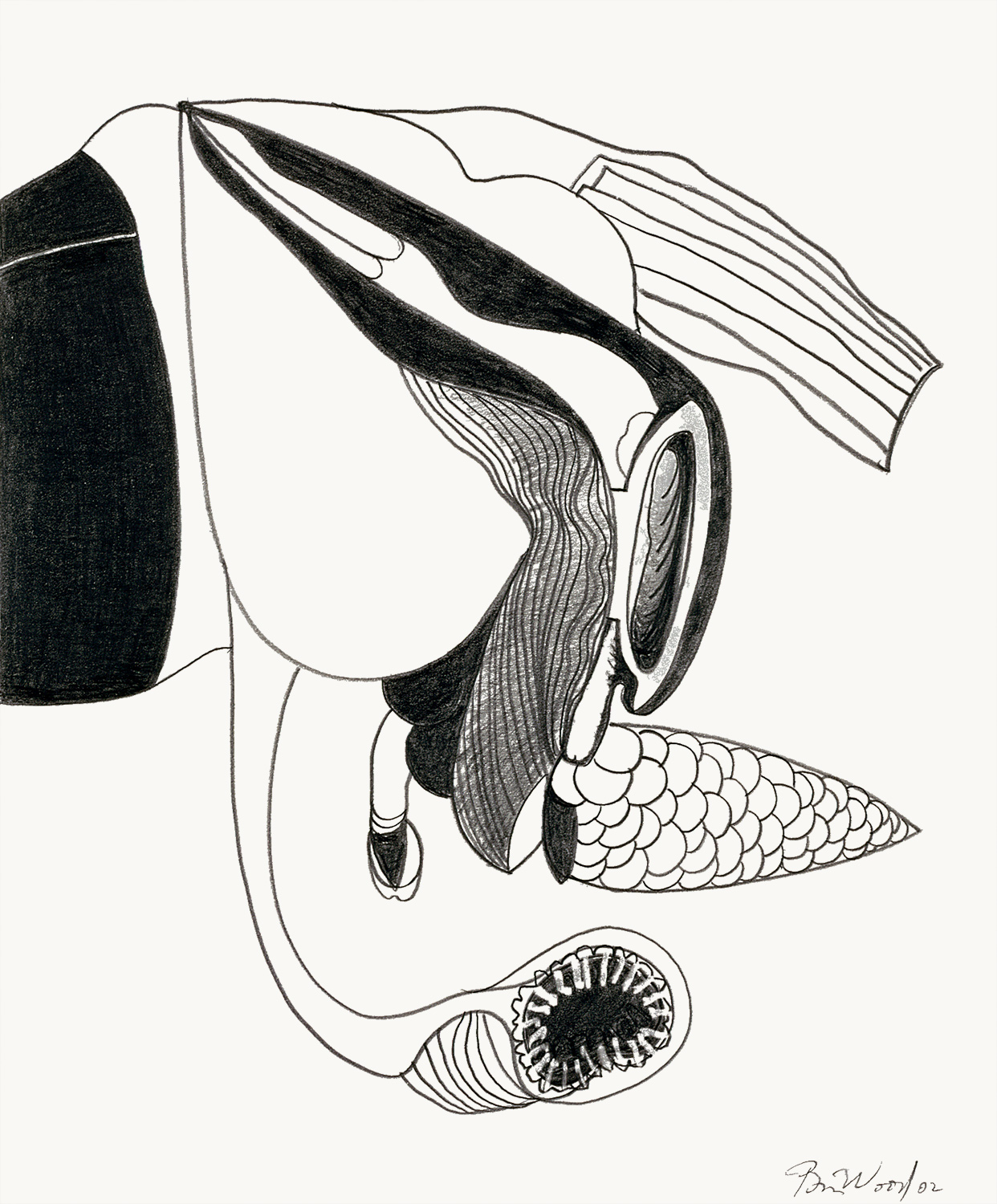 Brian Wood <br> "Pullulate," 2002 <br> Graphite on paper <br> 17 x 14 in.