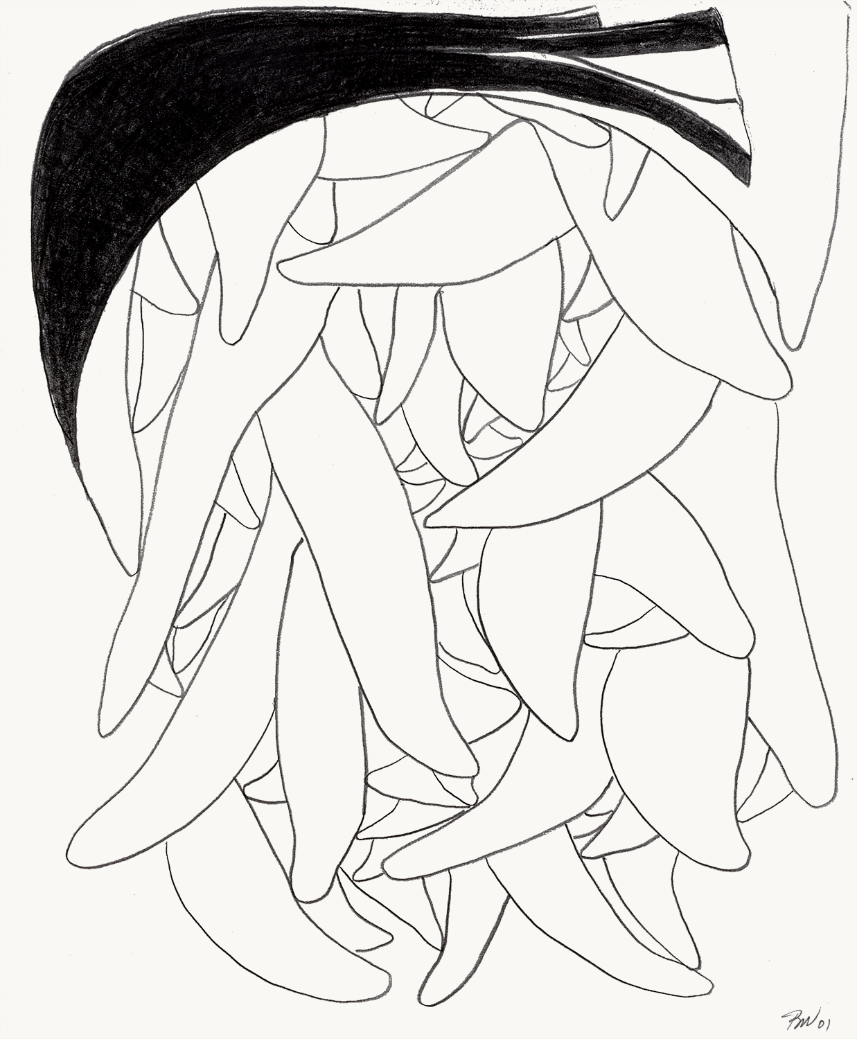 Brian Wood <br> "Sense," 2001 <br> Graphite on paper <br> 17 x 14 in.