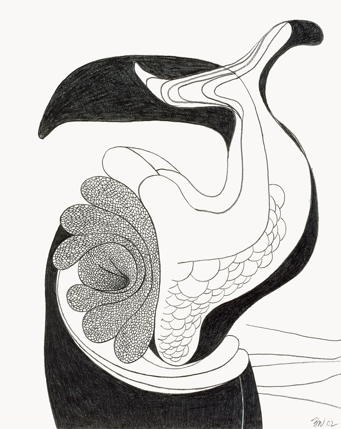 Brian Wood <br> "Comber," 2002 <br> Graphite on paper <br> 14 x 11 in.
