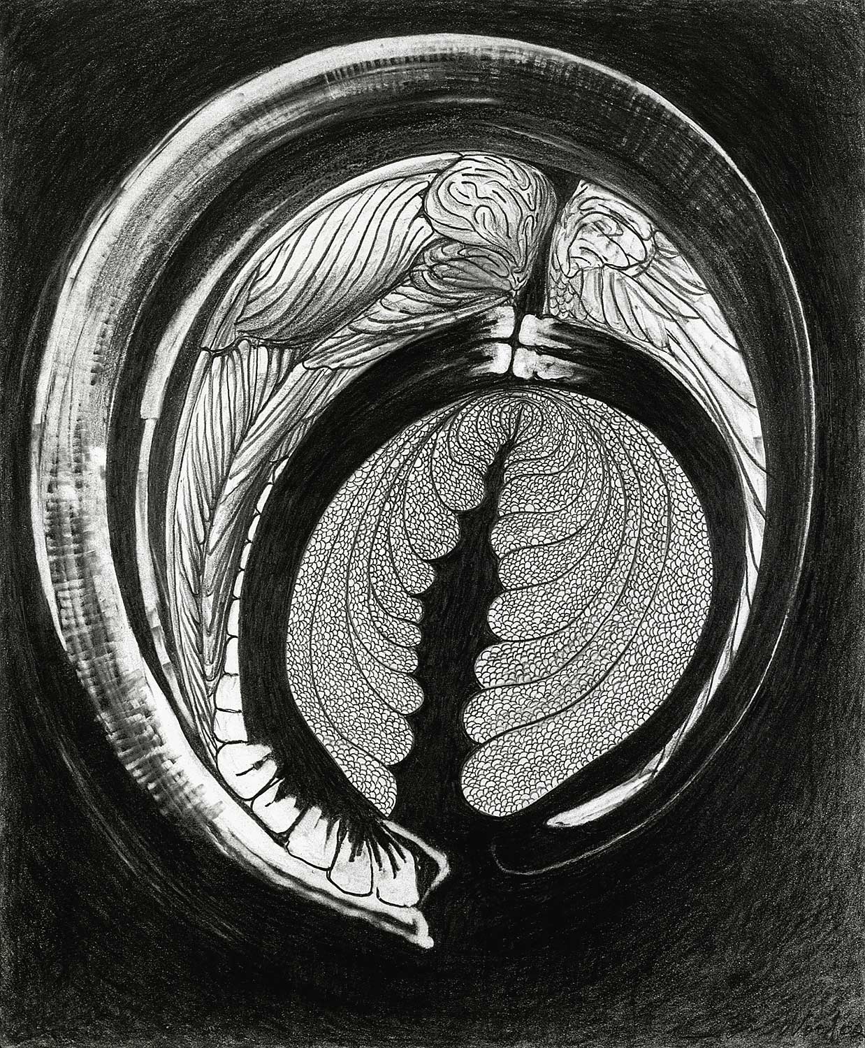 Brian Wood <br> "Skypiece," 2001 <br> Graphite on paper <br> 17 x 14 in.