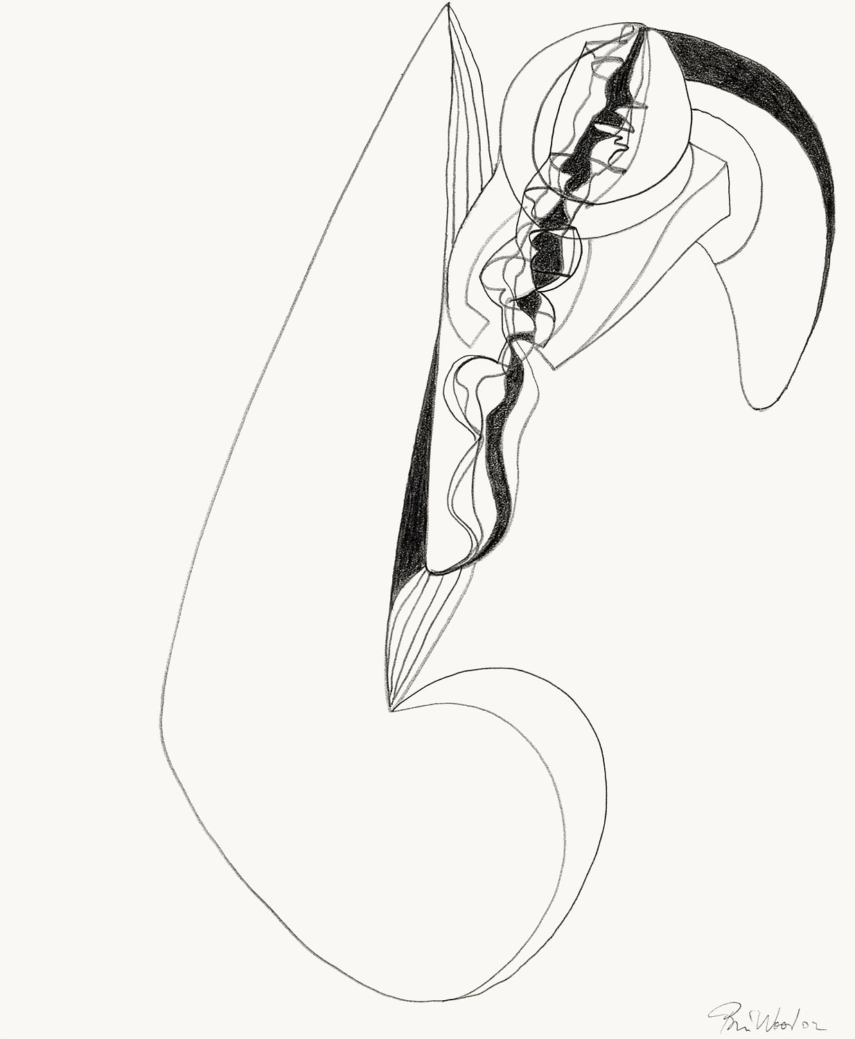 Brian Wood <br> "Lick," 2002 <br> Graphite on paper <br> 17 x 14 in.