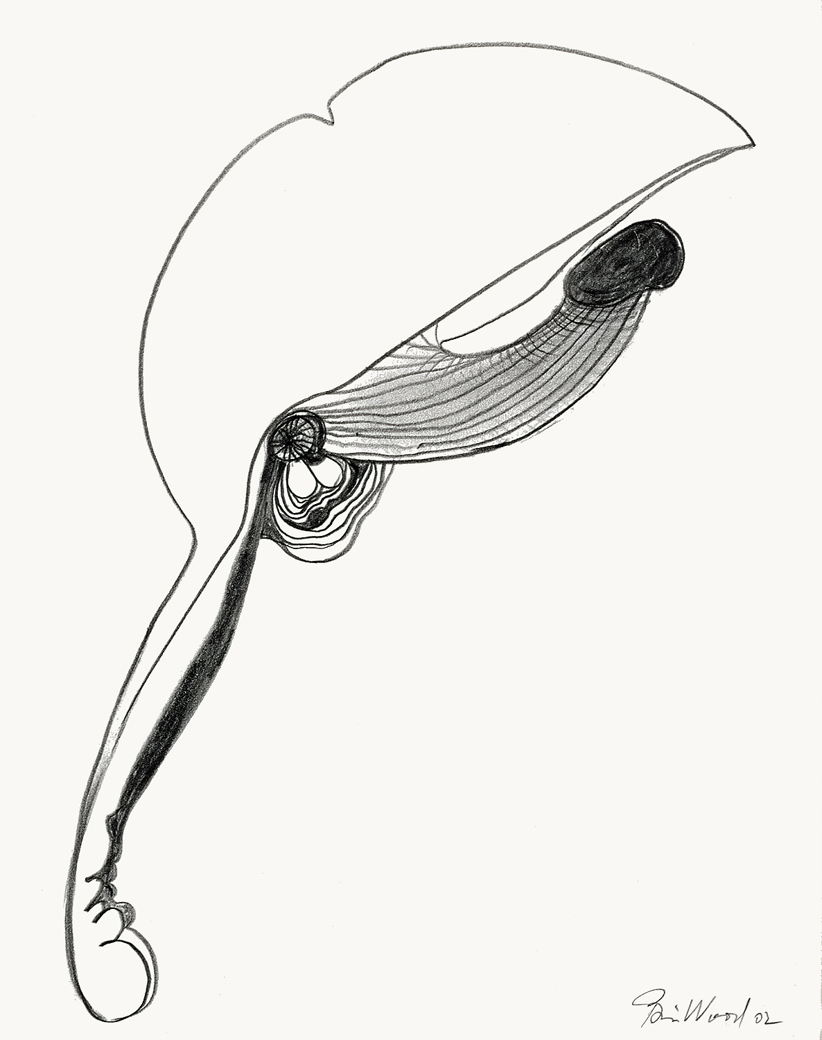 Brian Wood <br> "Shroom," 2002 <br> Graphite on paper <br> 14 x 11 in.