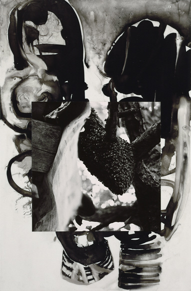 Brian Wood, Swarm , Ink and photo on mylar Collection: The Museum of Modern Art, NYC