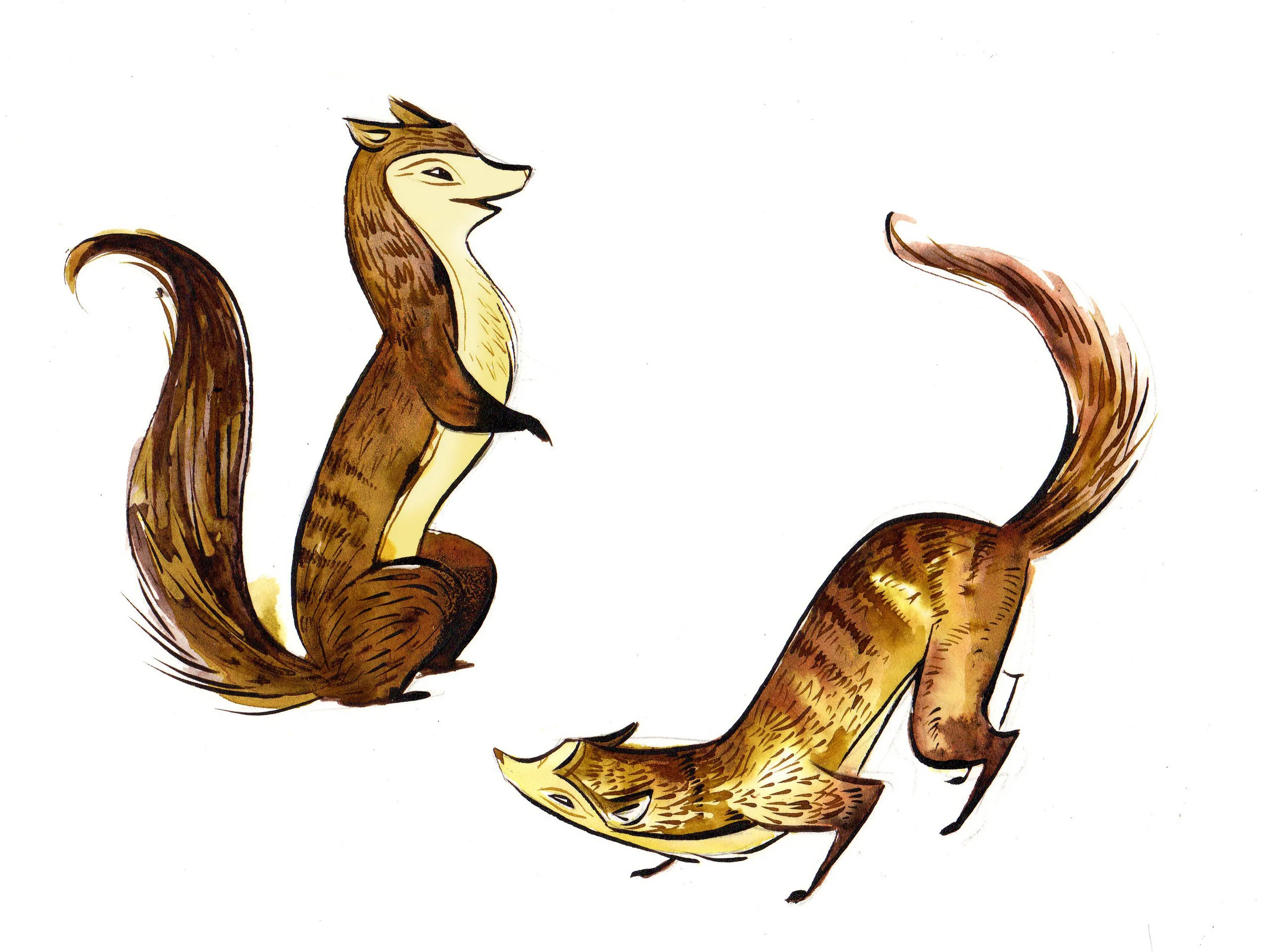 rikki tikki