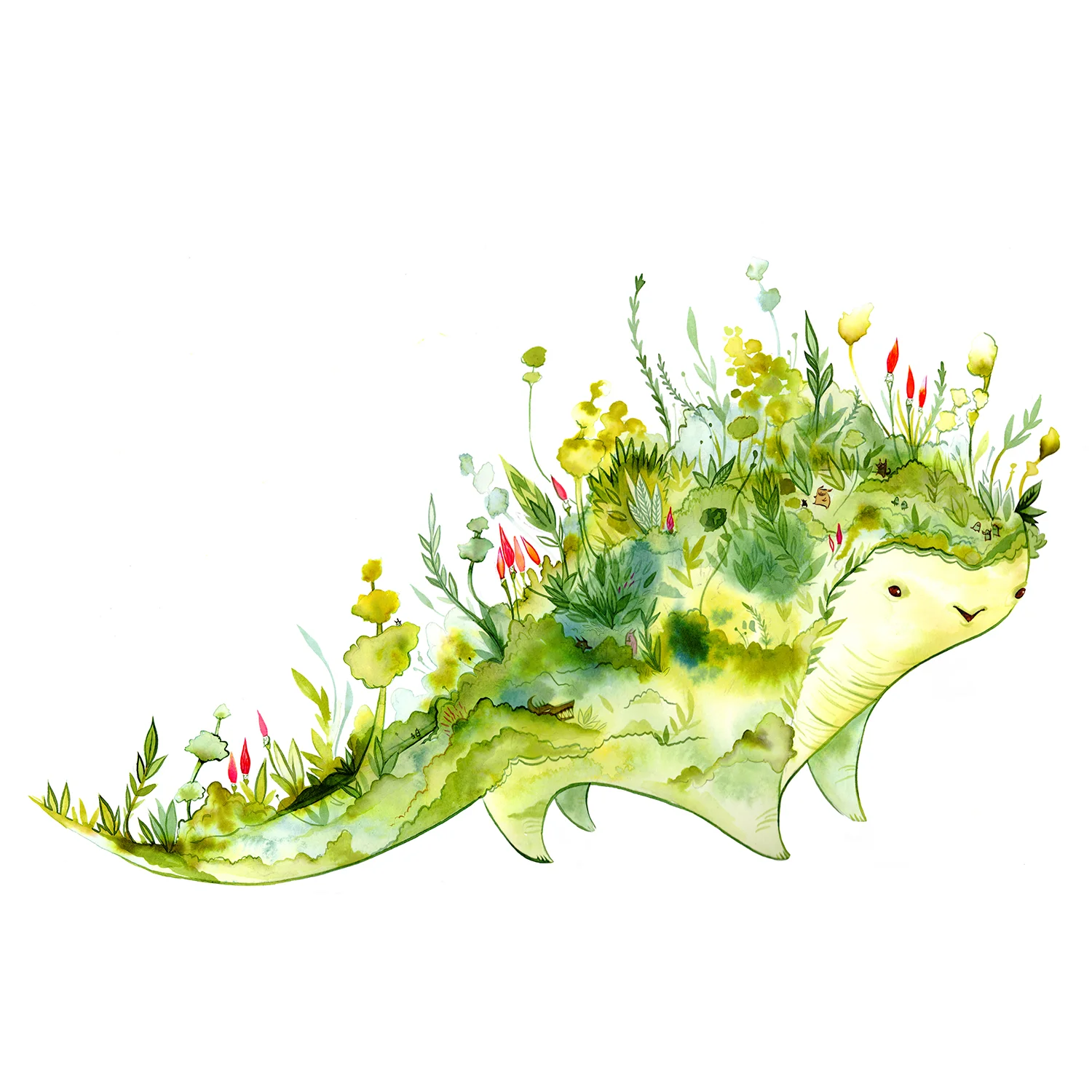 terra fauna
