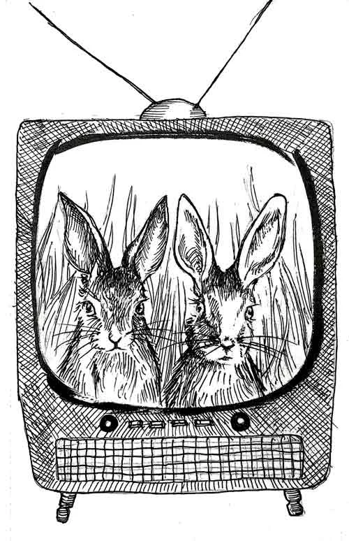 TV Bunnies