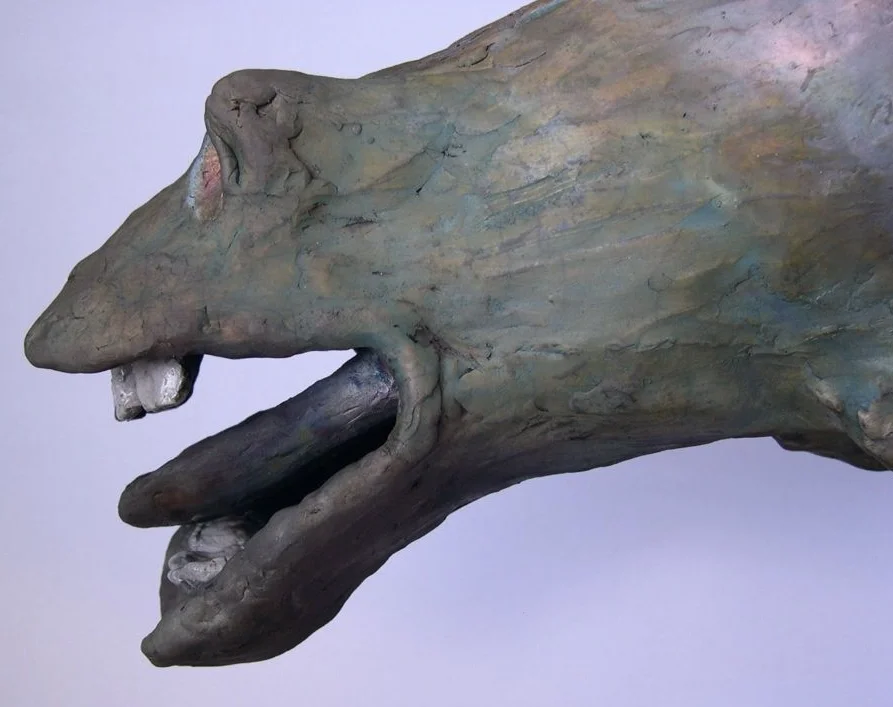WILD HORSE - CLOSE UP