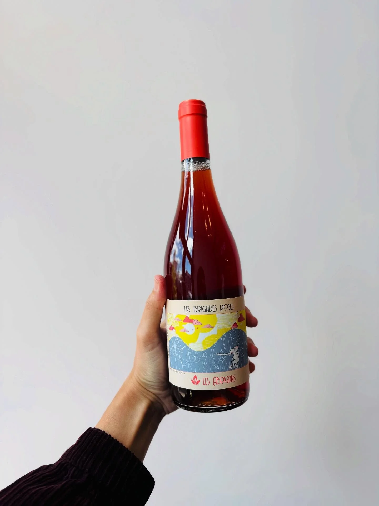 If you like wine, get in here!!! New wine all the time. Shop in person 12-6 or online any time you fancy (🚫 shipping!)✌️