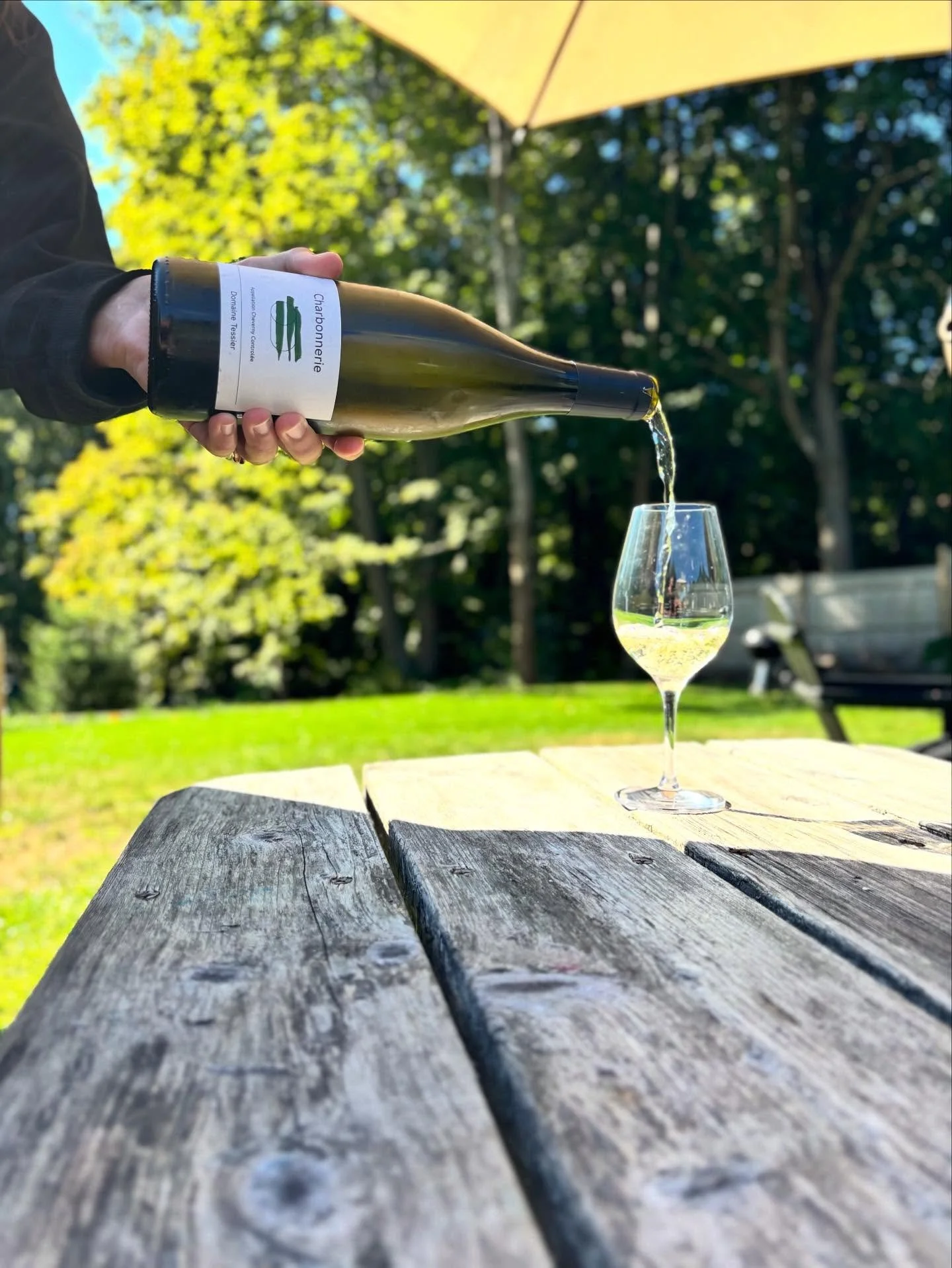 Wine to go. Wine to stay. See you 12-6 today, closed Sundays and Mondays 💚