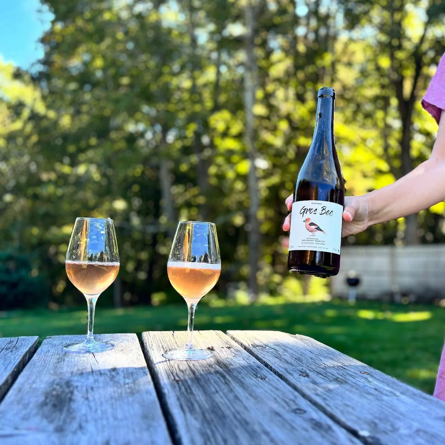 Wine to stay. Wine to go. Choose your own adventure 💚