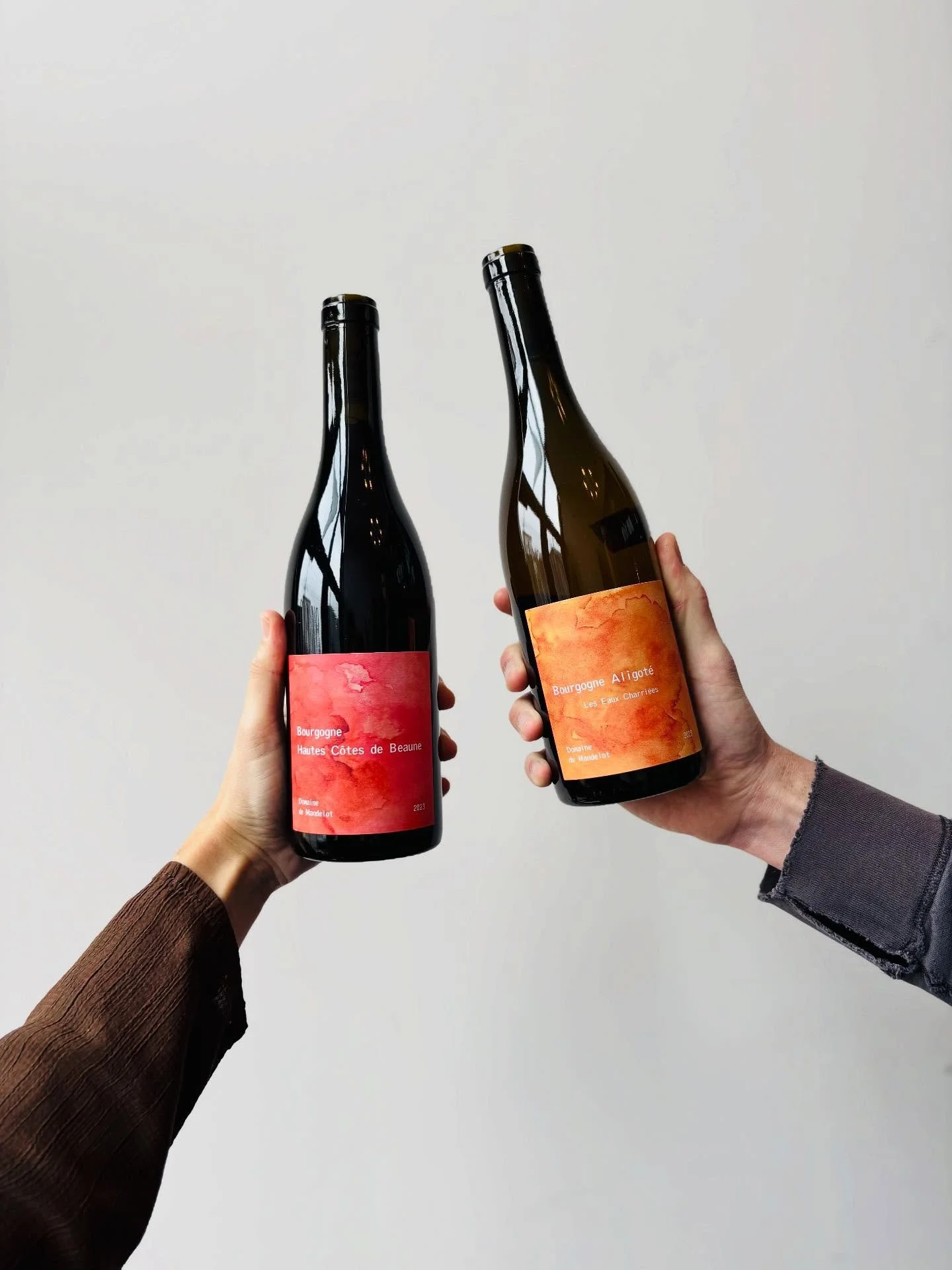 New wine on the shelves and online 🫶