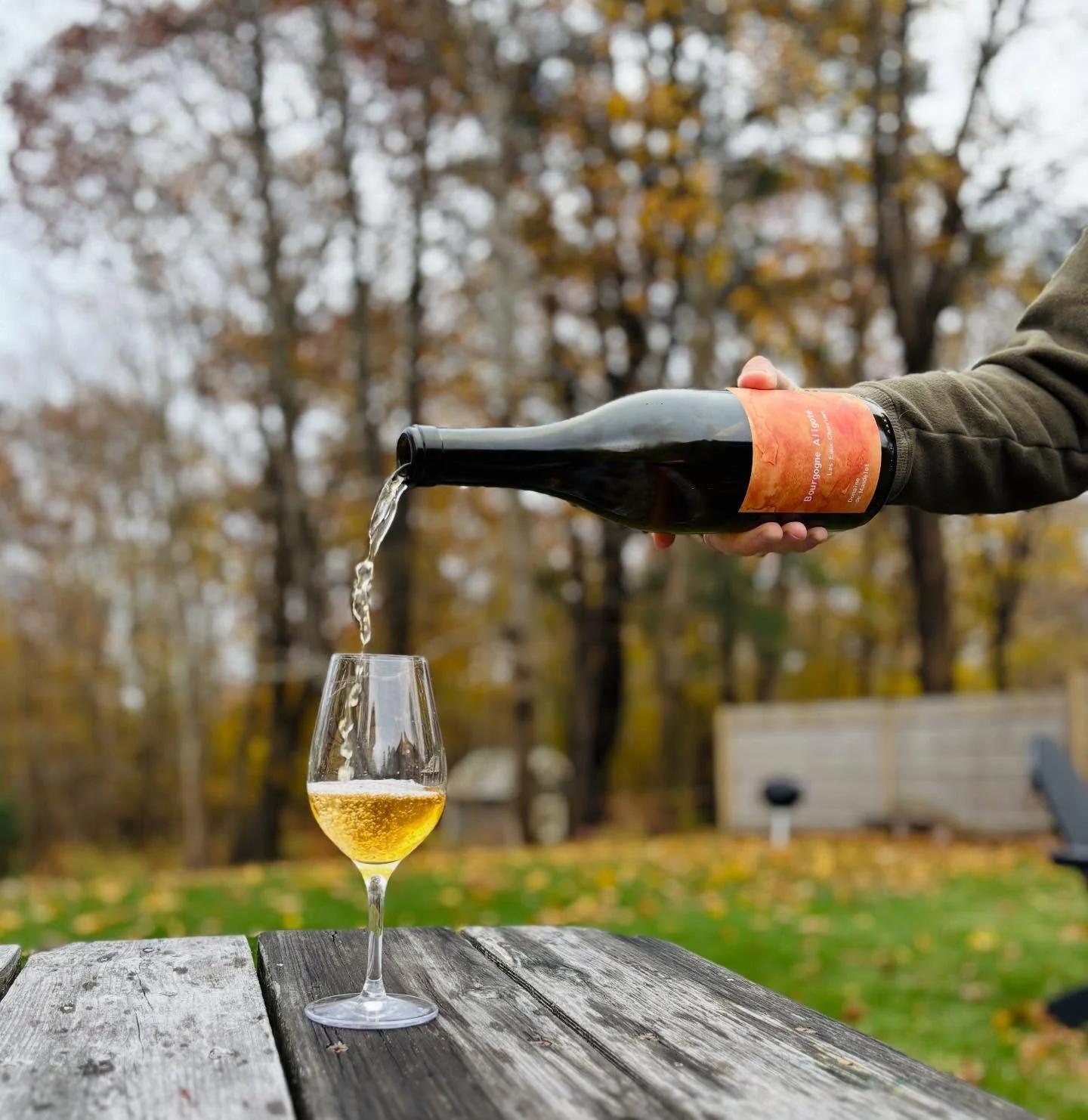 Fran&ccedil;ois Grang&eacute; has spent 15 years working at the iconic biodynamic estate Chandon de Brialles, while recently starting his own small family mangalitza pig farm, where he lives. His neighbors here offered Fran&ccedil;ois six hectares wh