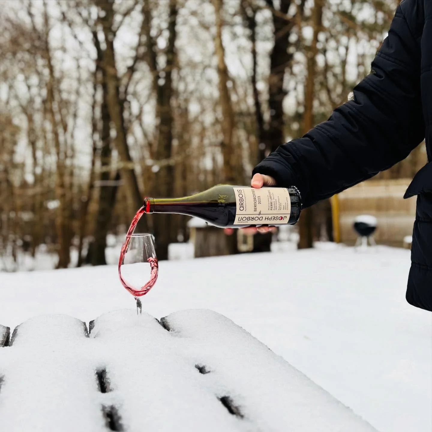 Lots of closures out there in the icy world today but we&rsquo;ll be here for you from 12-4 &mdash; lots of new wine on the shelves + online &mdash; @domainedorbon 👀