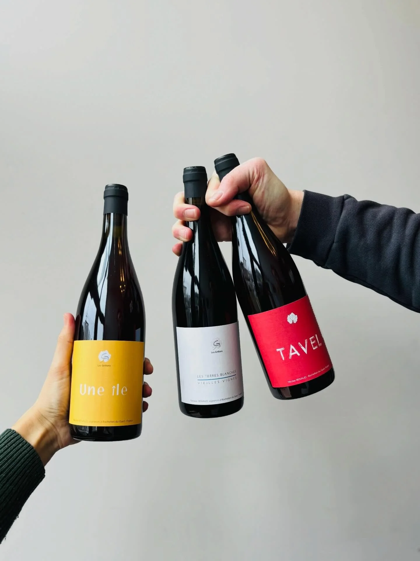 Friends!! some newness awaits you 🌷