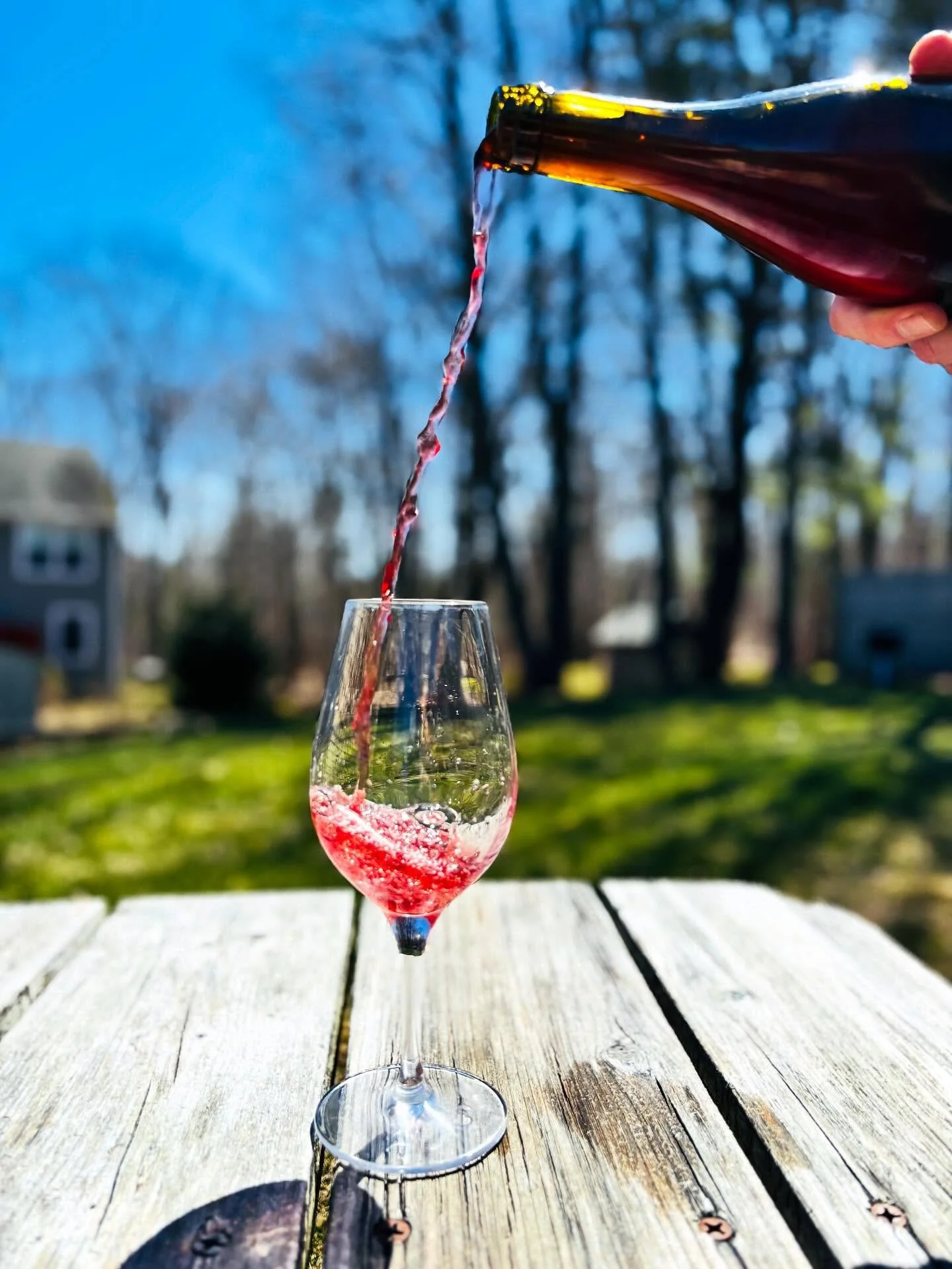 Spring, glorious Spring!

Stock up this week! Grab your wine clubs and lingering online orders!! We&rsquo;ll be closed for Spring Break Sunday 4/19-Tuesday 4/28. And remember &mdash;  your local wine shop has wine for you + they love to see you! ❤️