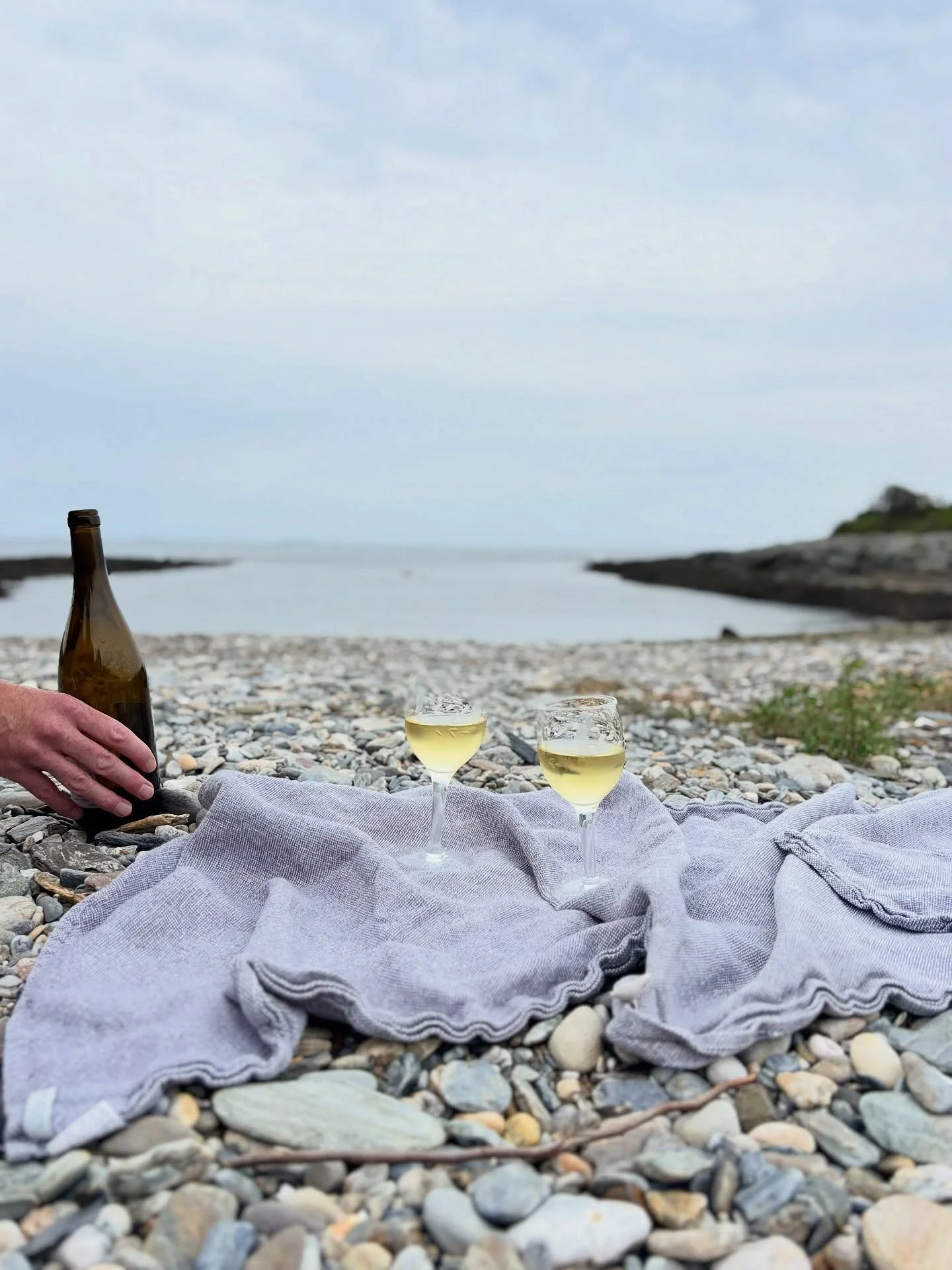 ☀️ ☀️ AUGUST WINE CLUB: Two Winemakers, Two Coastlines

This month we&rsquo;re chasing the Mediterranean light in two directions &mdash; Corsica and the C&ocirc;tes Catalanes.
They sit on opposite ends of the same sea, but pour from the same source: 