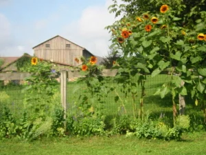 Elkdale Farm & Studio