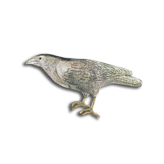 C1-P-0064.png