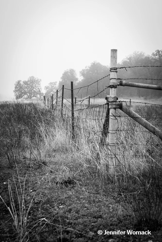 DSC_0890.jpg