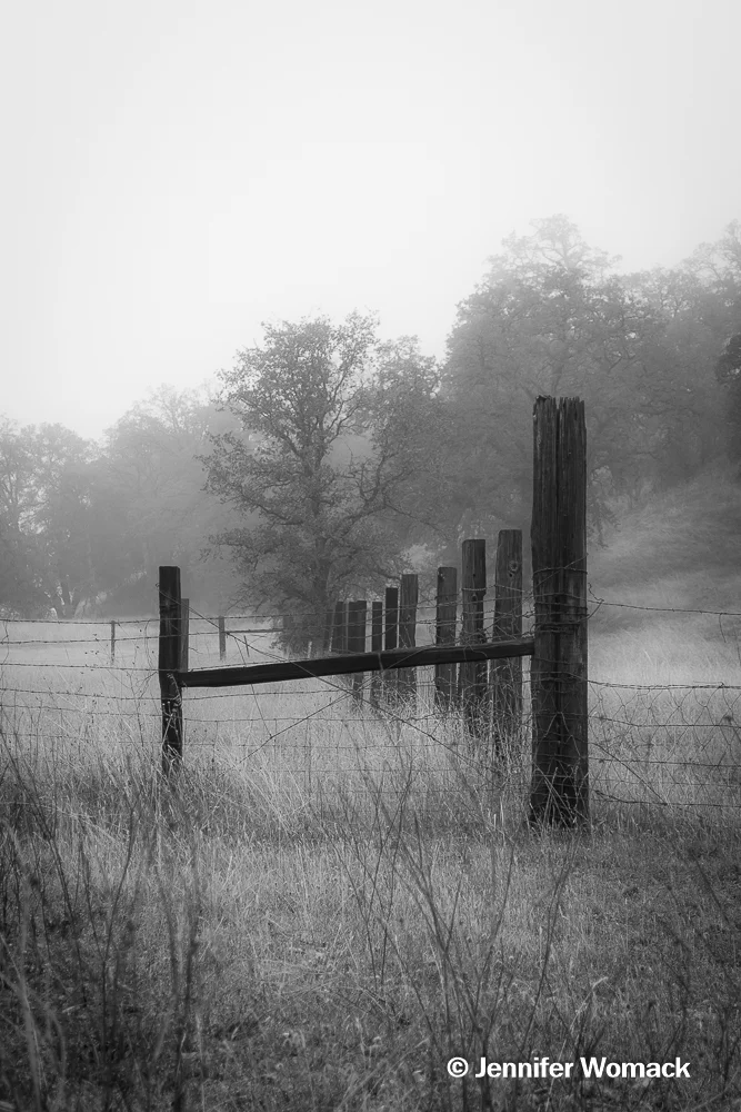 DSC_0897.jpg