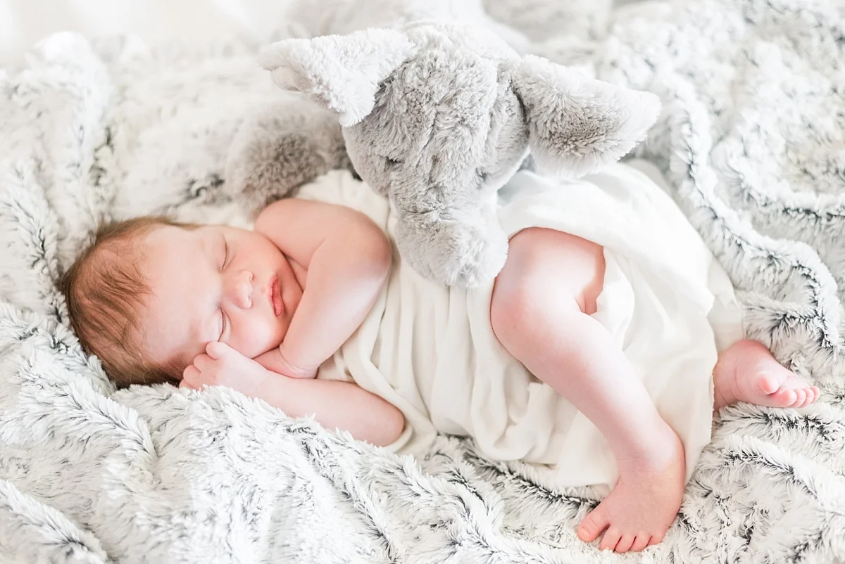 newborn portaits with wood american flag background_0352.jpg