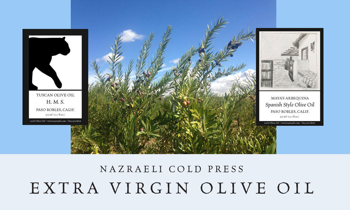 Nazraeli Cold Press Olive Oil from our 2018/19 Harvest is now shipping! Order >
