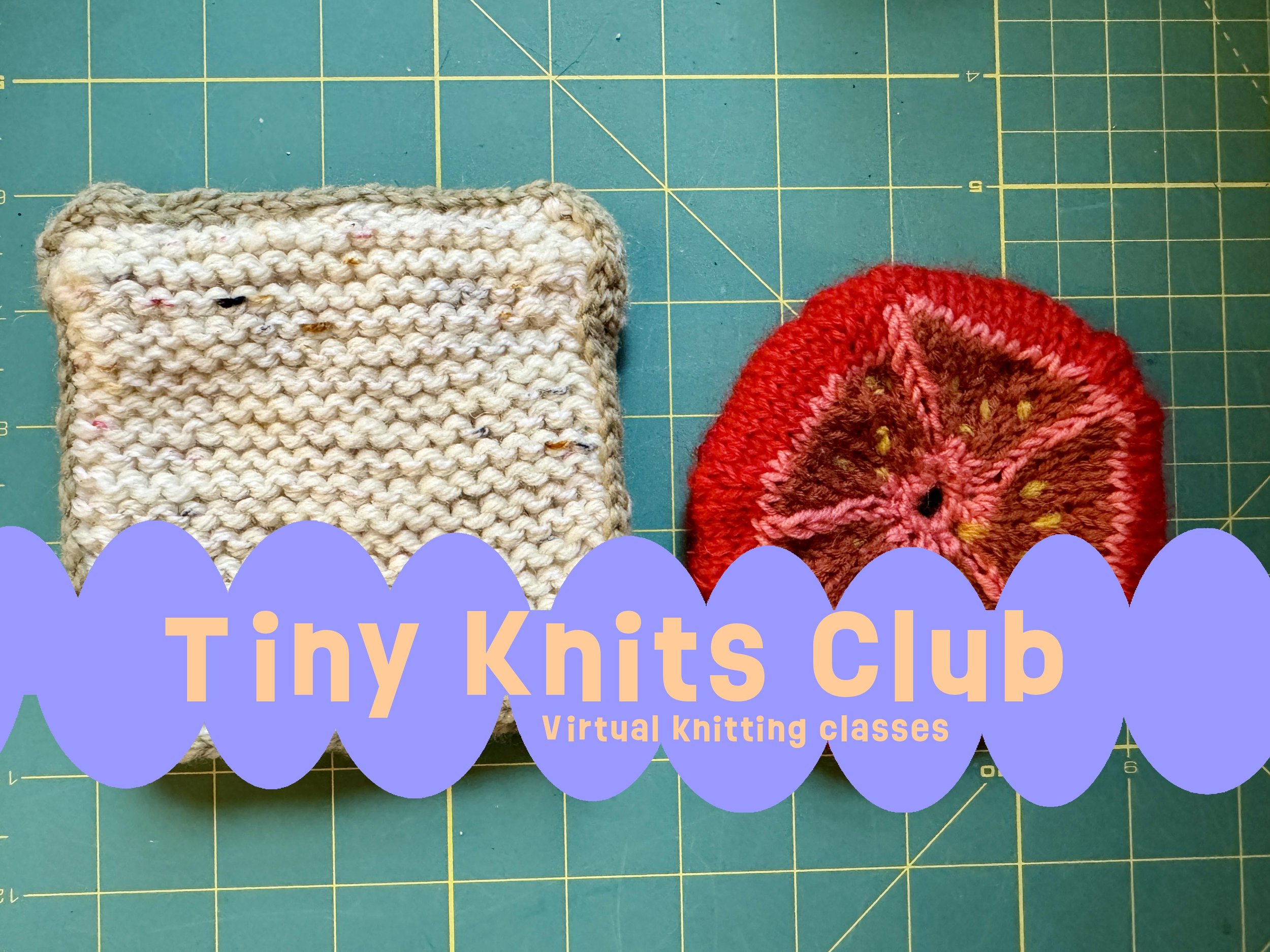 tiny knits club 2027.jpg