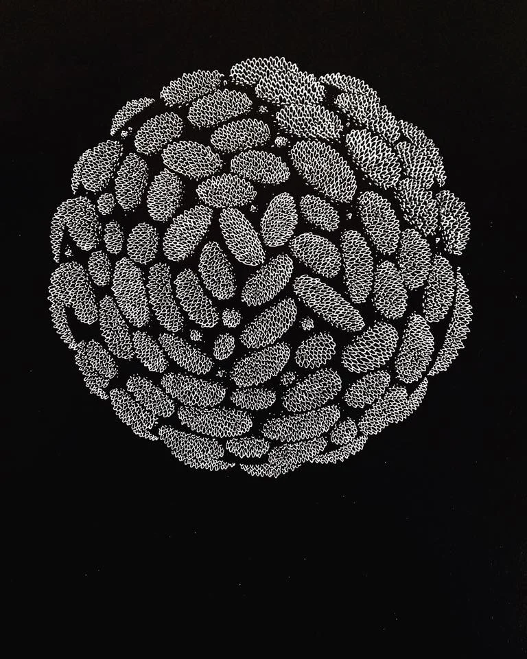 Li Symmetries2.jpg