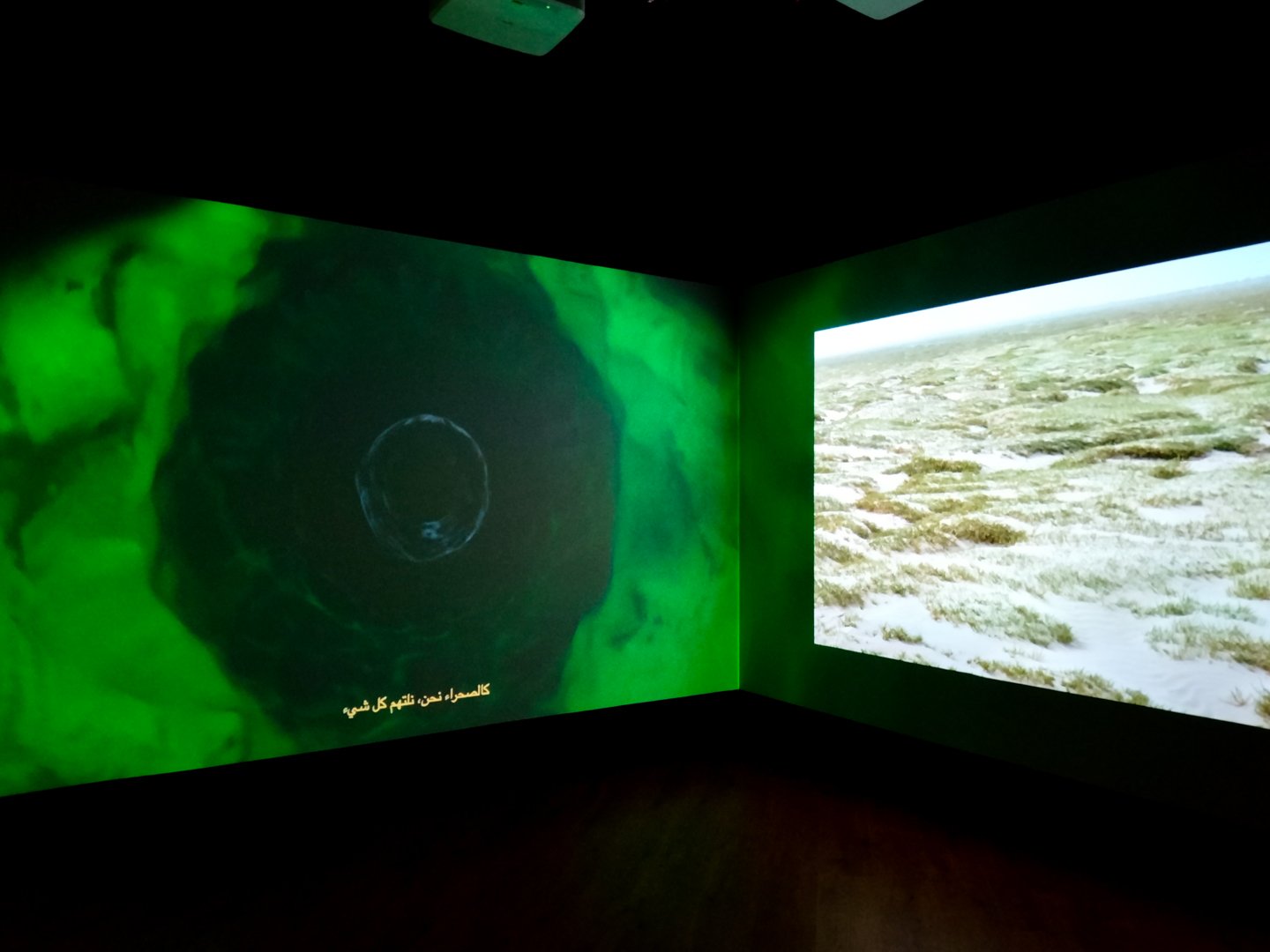 Ayman Zedani, The Desert Keepers (2022). 3-channel video installation with audio_-2.jpg