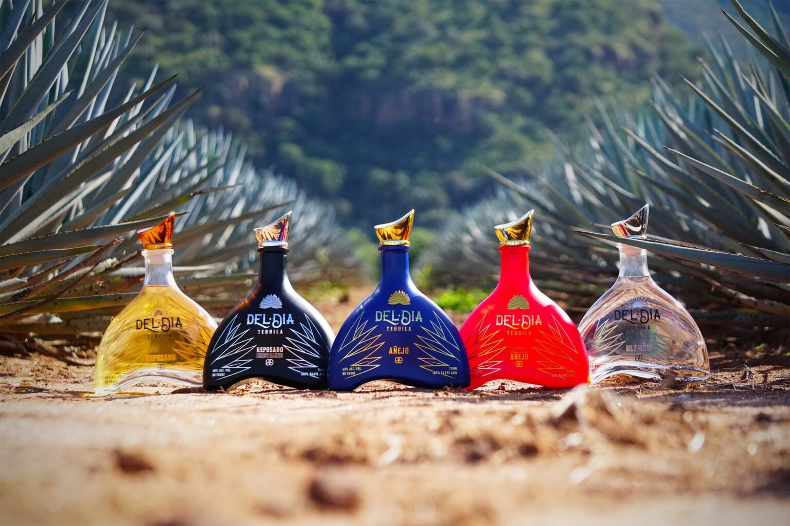 Del_Dia_Tequila-Our_tequilas-1536x1024.jpg
