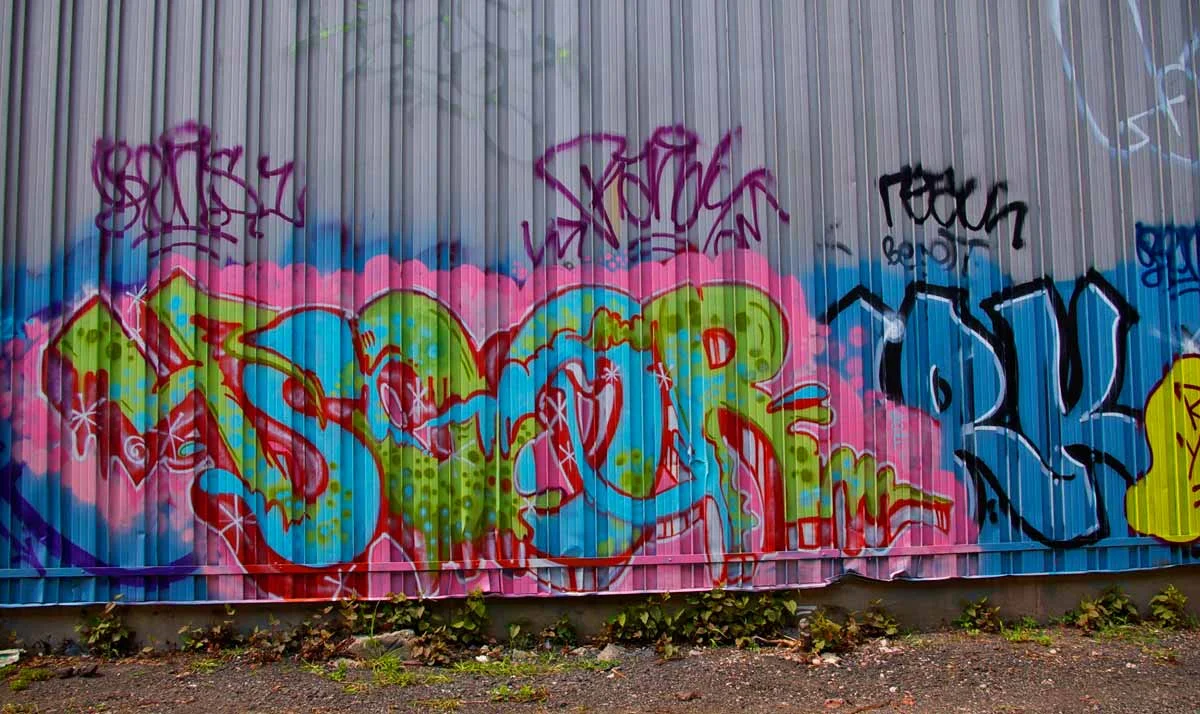 IMGP3059.jpg