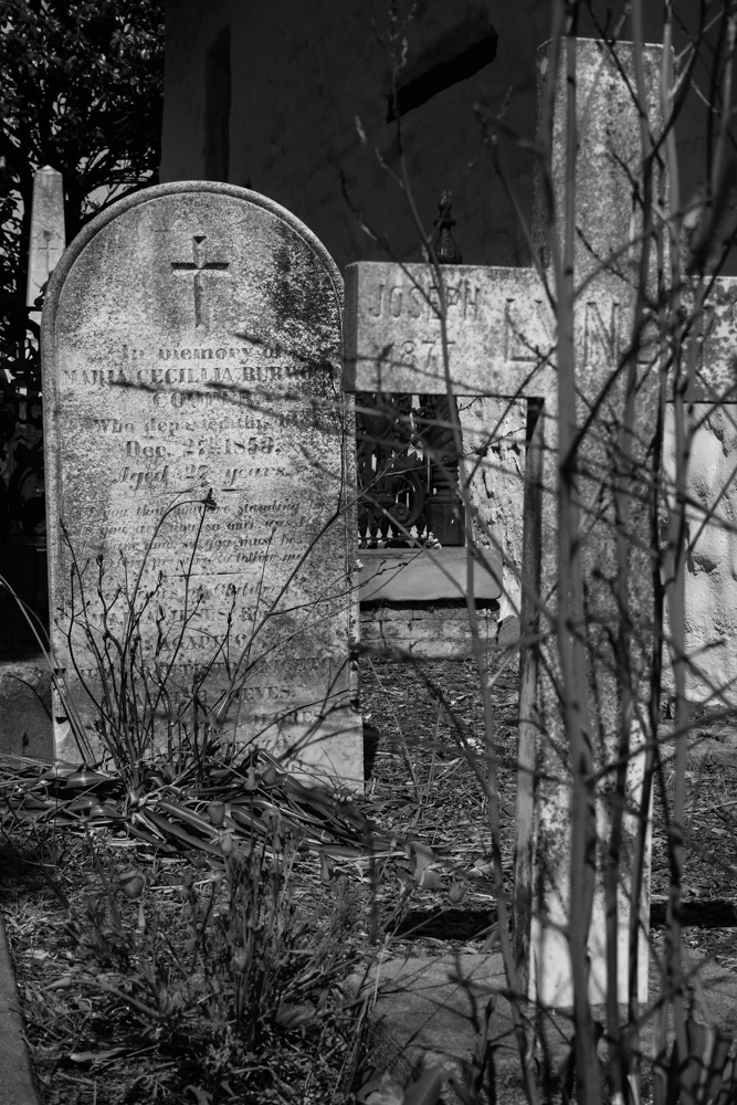 San Francisco Misión San Francisco de Asís