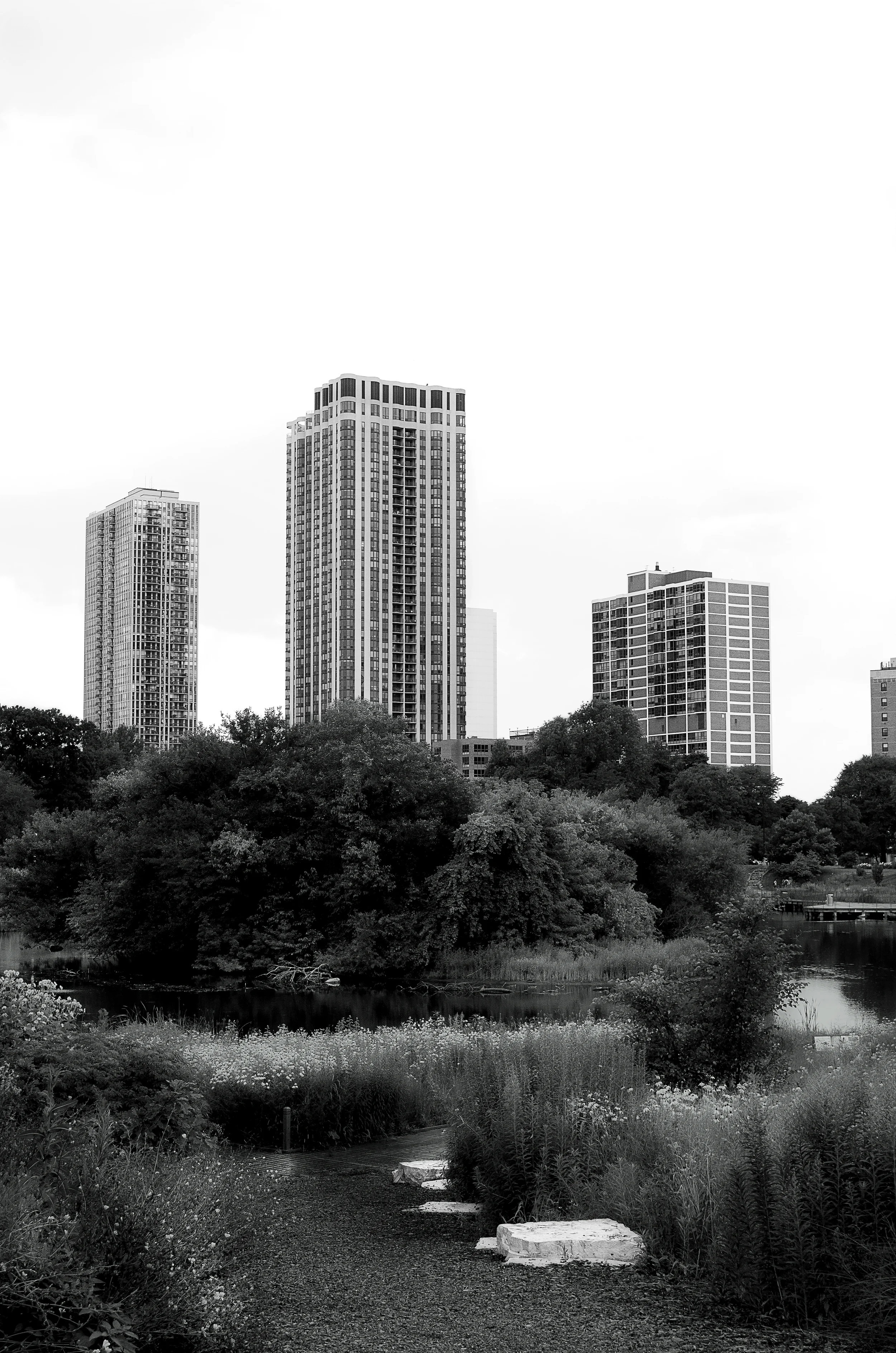 DSC_5157 copy.jpg