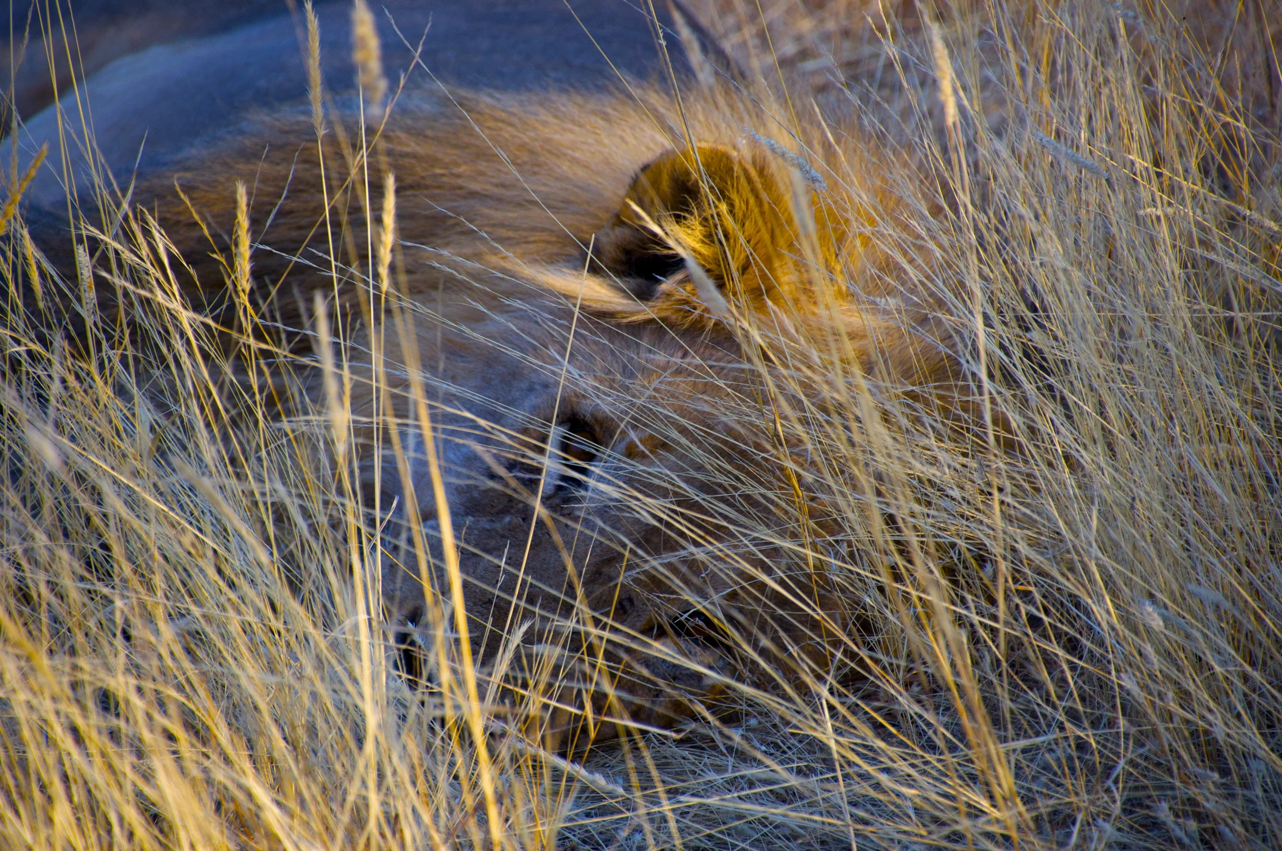 DSC_0586.jpg