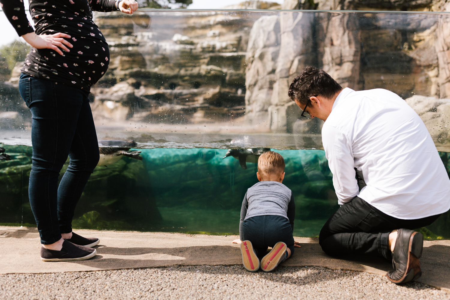 seattle_family_photographer_woodland_park_zoo-2.jpg