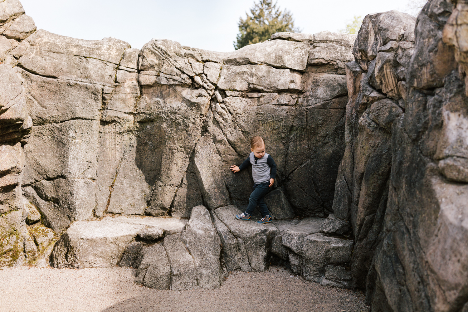 seattle_family_photographer_woodland_park_zoo-5.jpg