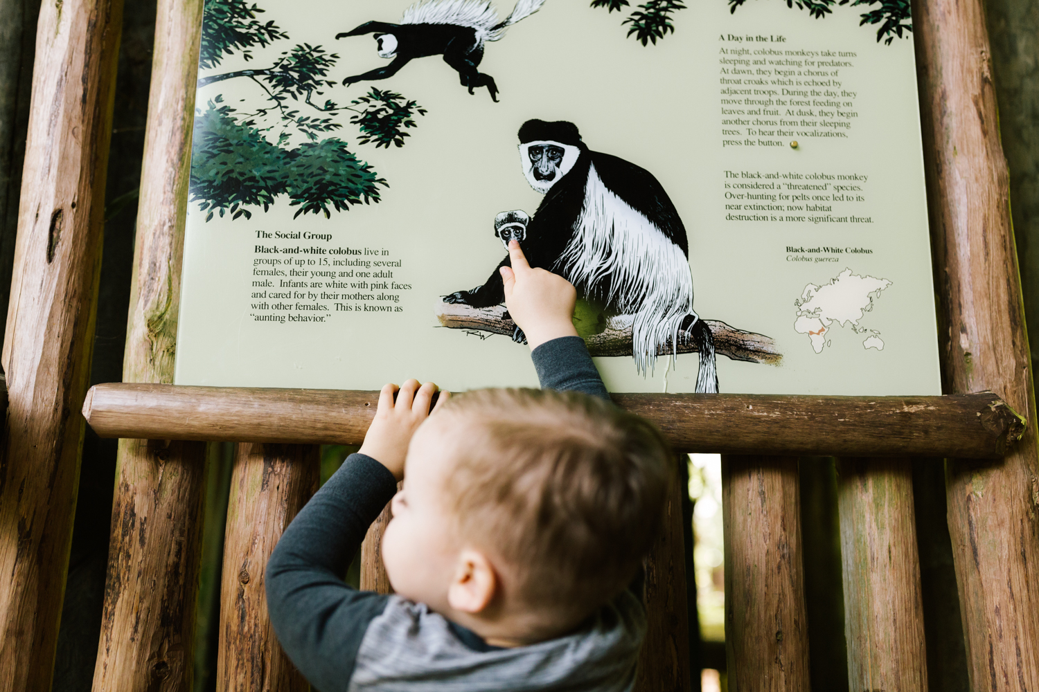 seattle_family_photographer_woodland_park_zoo-16.jpg