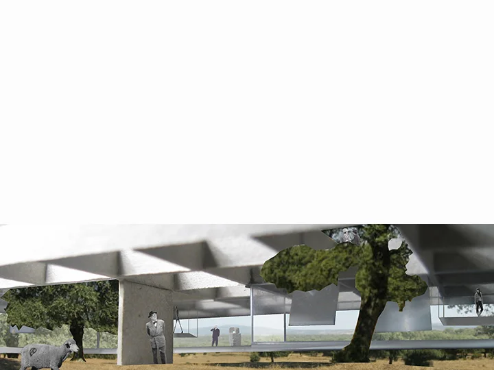 caceres fotomontaje 5.jpg