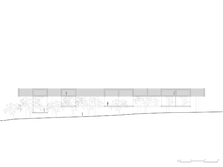 caceres seccion longitudinal.jpg