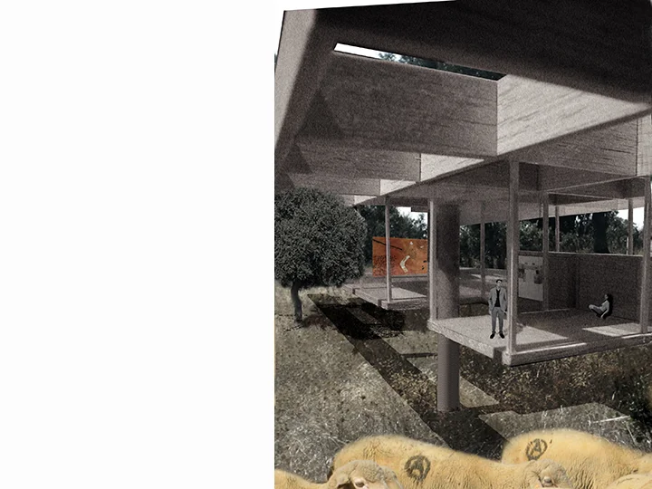 caceres fotomontaje 2.jpg