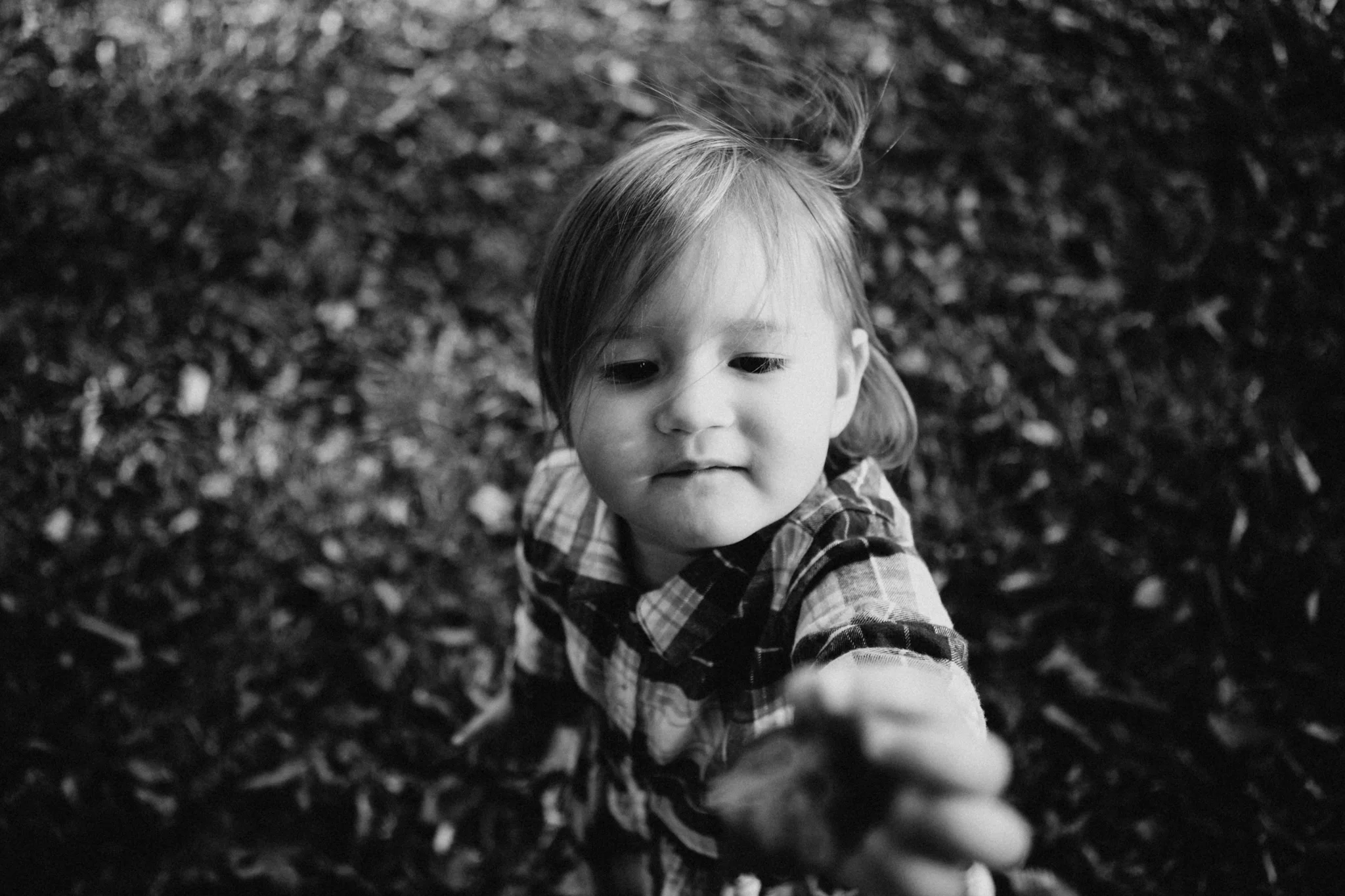 strasbaugh_online-50.jpg
