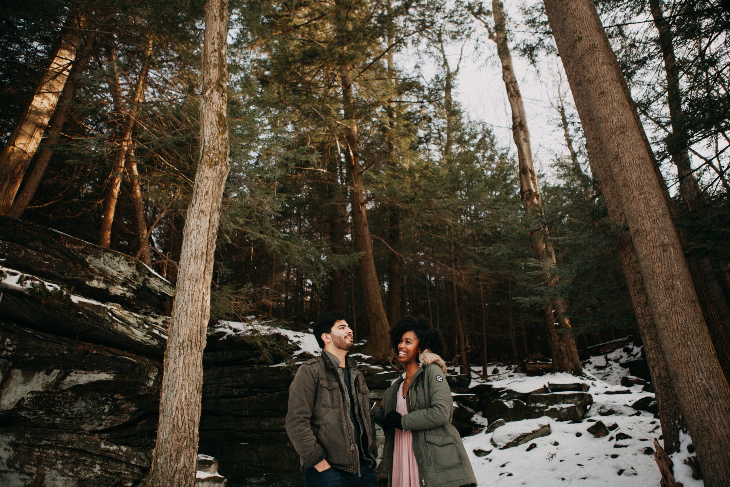cvnp-13.jpg