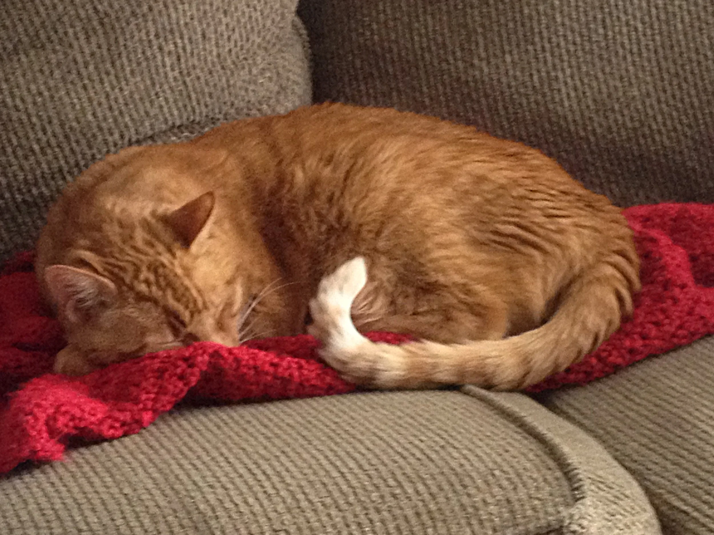 blog: the unbridled enthusiasm Billy Mumphrey