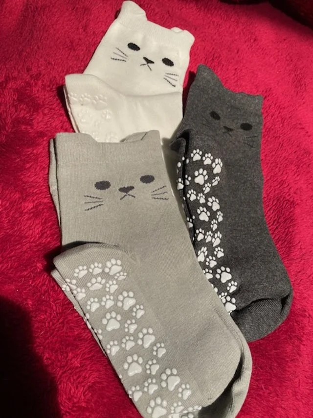 cat yoga socks