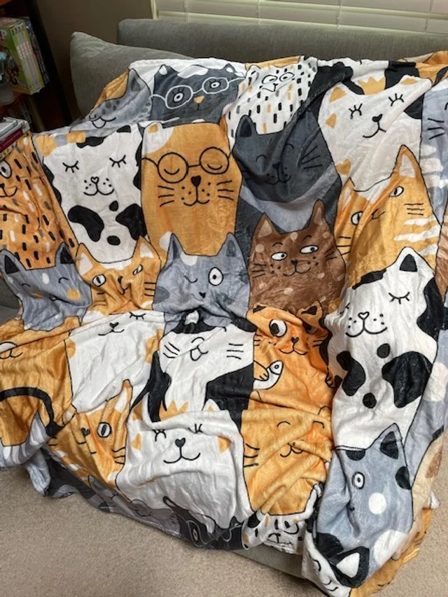 totes adorbs cat blanket