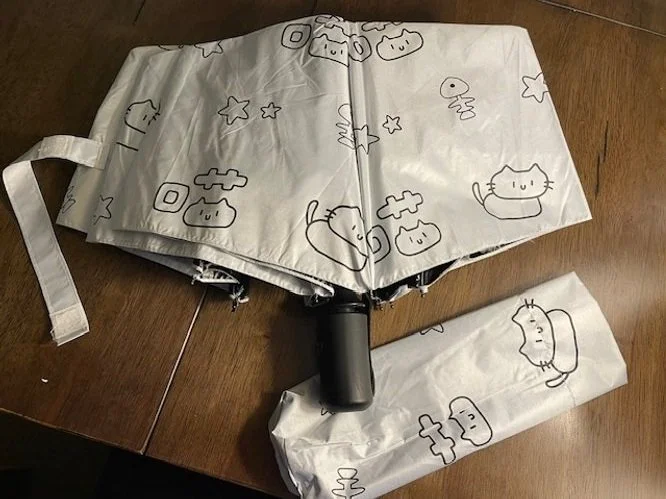 cat umbrella