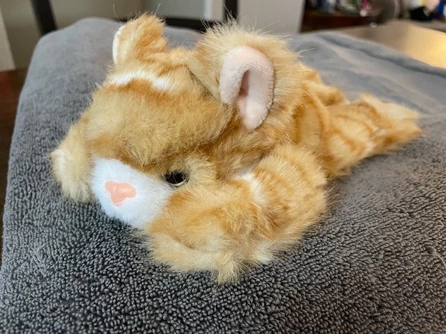 stuffed cat