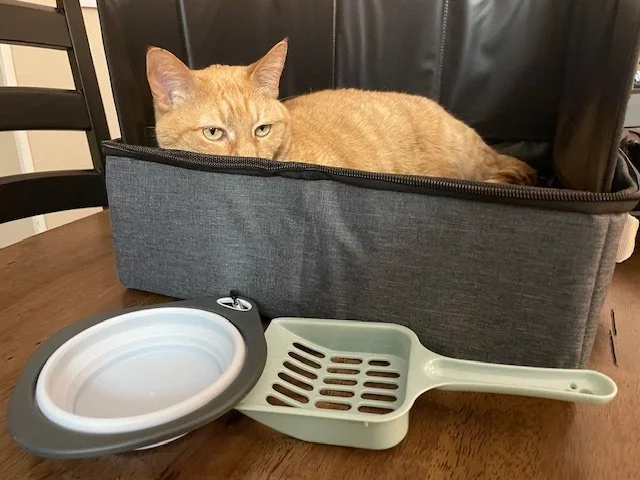 travel litter box
