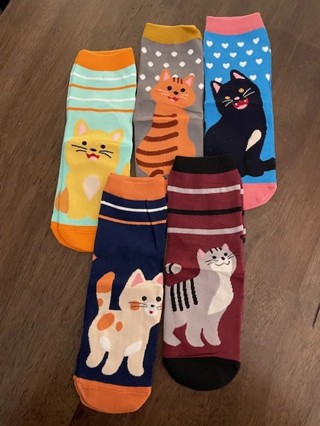 cat socks, set of 5, cats on front