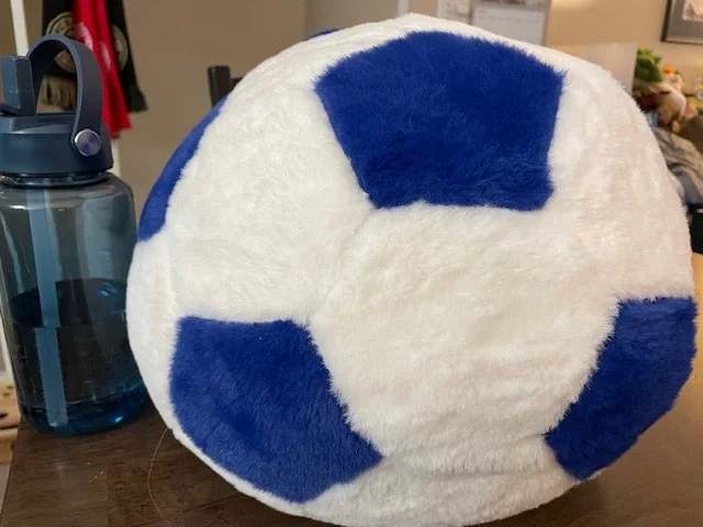 soccer ball pillow